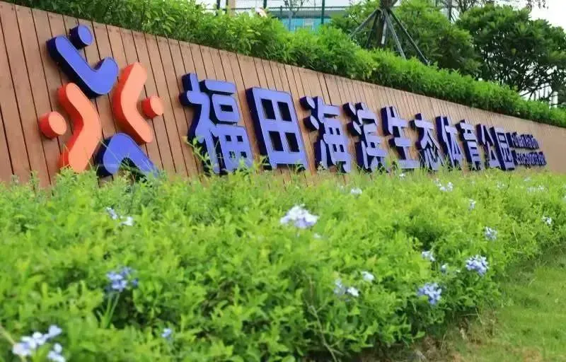 小学生篮球训练总结及心得体会简短_0